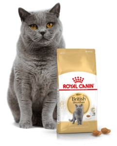 Royal Canin British Shorthair  0,4/2/4/10 kg