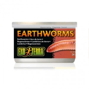 Exo-Terra-Canned-Earthworms---Dzdzownice-w-puszce-34-g.jpg