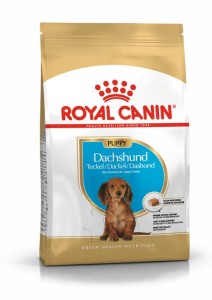 pu-dachshund-packshot-bhn18.jpg